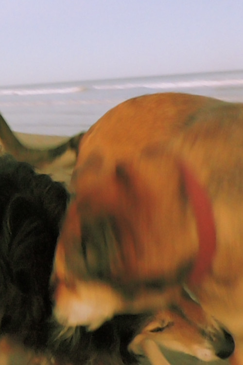 From The 20s In the 80s