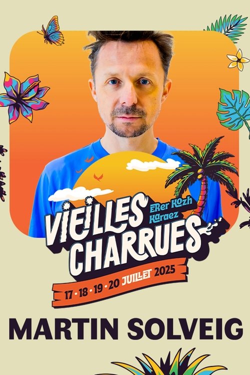 Martin Solveig en concert aux Vieilles Charrues 2025