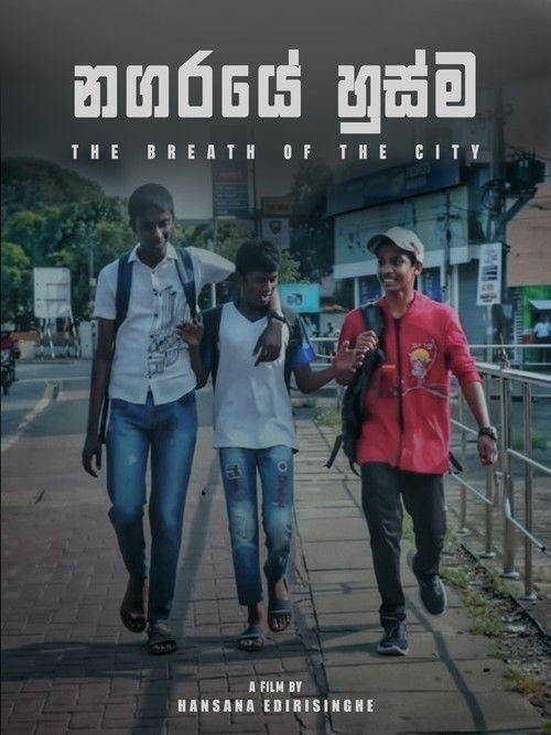 The Breath of the City