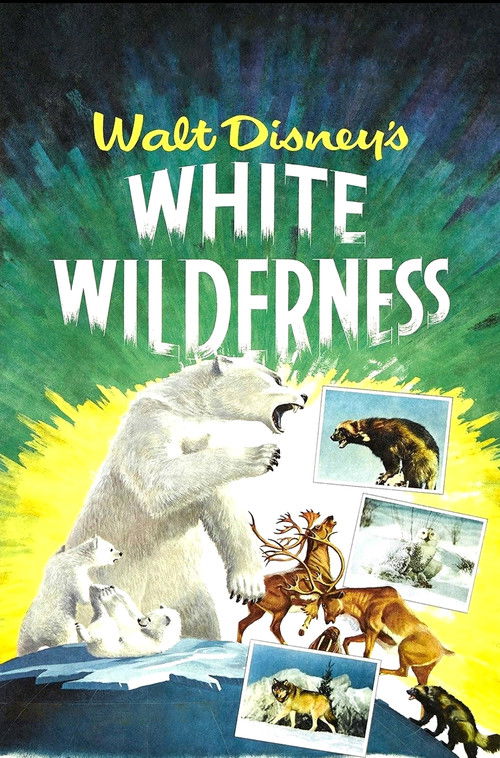 White Wilderness