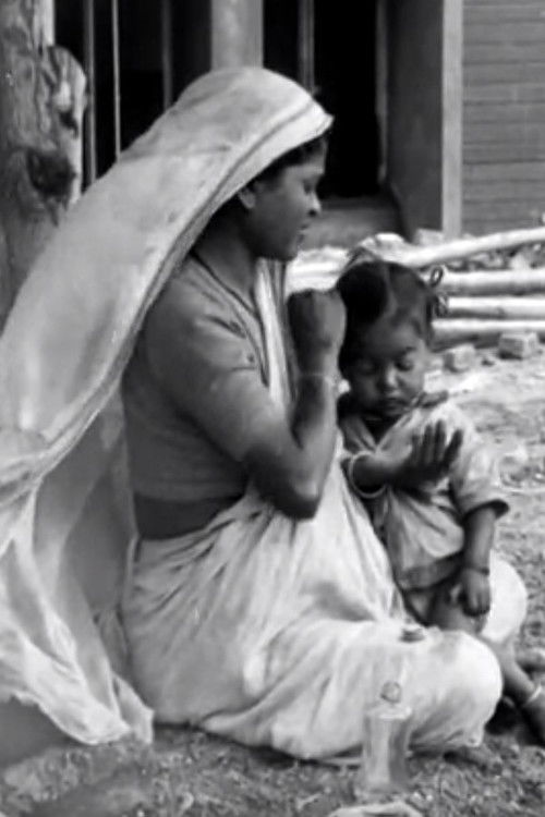 A Day with the Builders