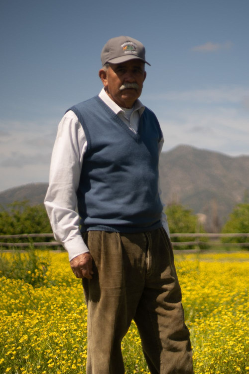 Photo of Reinaldo Rojas