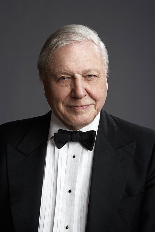 Photo of David Attenborough