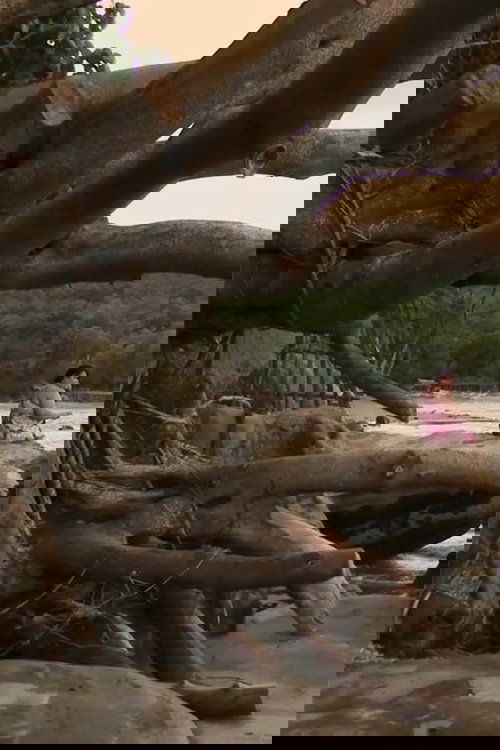 Describe the Color Red to a Blind Man