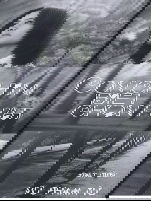 A Bird that Knows Its Way