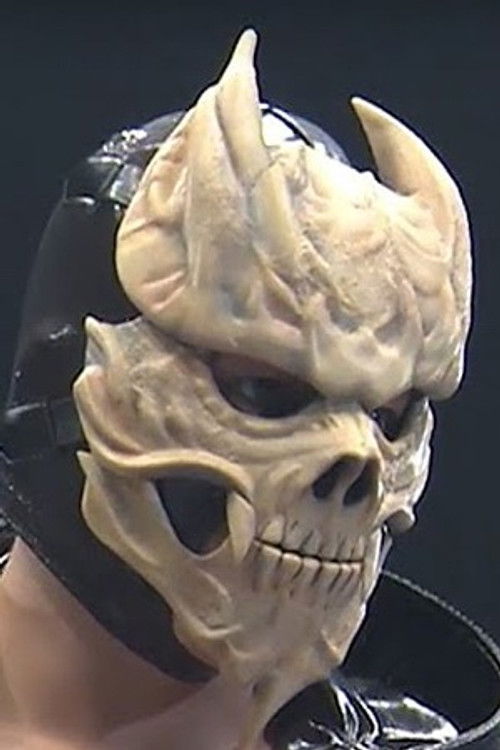 Photo of Mitsuhide Hirasawa