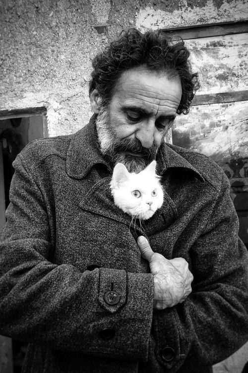 Photo of Bakhtiyar Panjeei