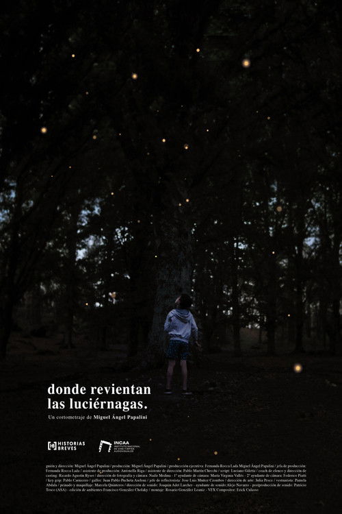 Where the fireflies burst