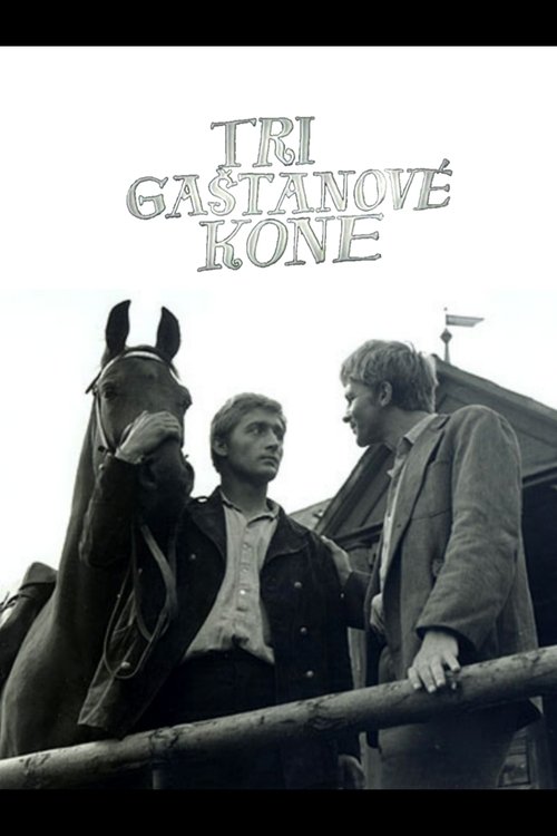 Tri gaštanové kone