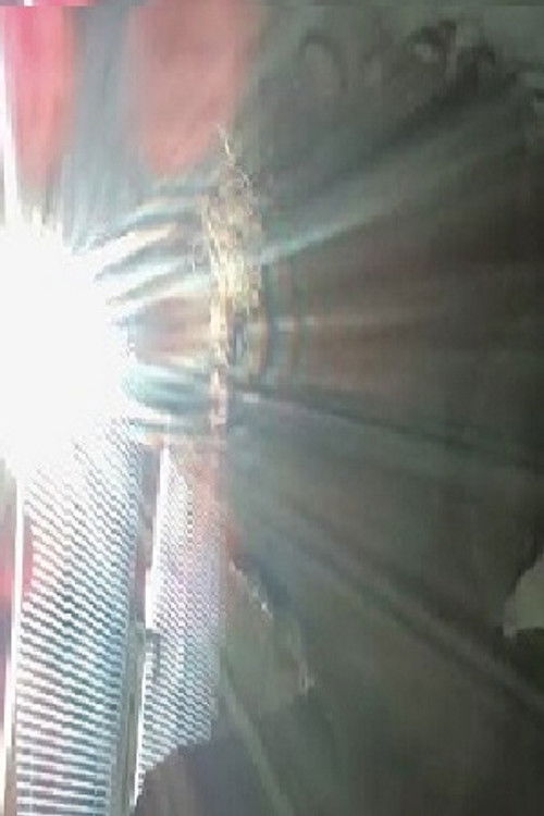 Photo of antonio dimovski