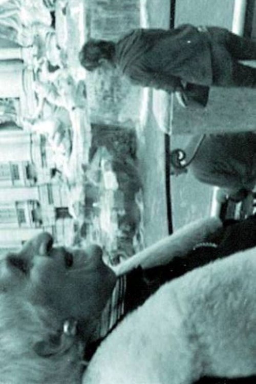 THE INTERPRETER OF BLACK AND WHITE FILMS