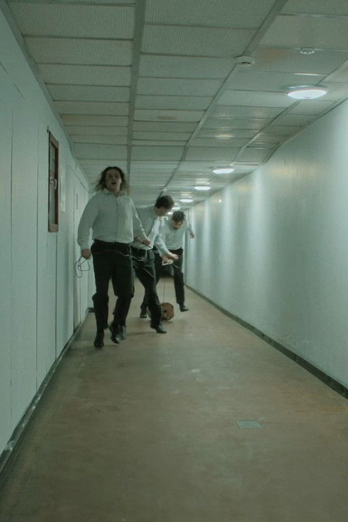 Where Does the Sun Sleep at Night?