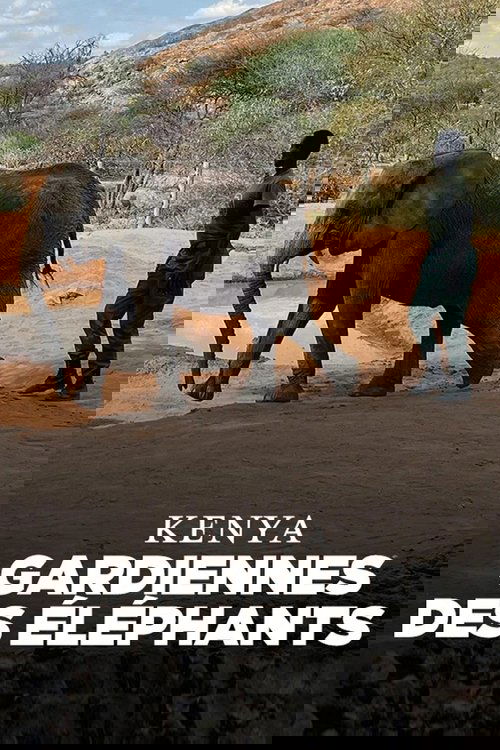 Kenya - Gardiennes des éléphants