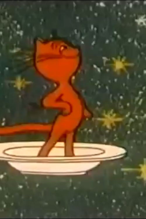 A cat in space