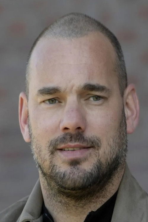 Photo of Wesley Sneijder