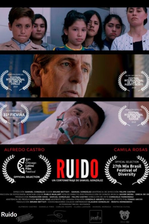 Ruido