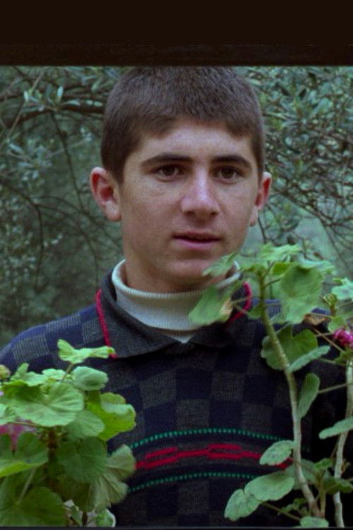 Photo of Babek Ahmed Poor