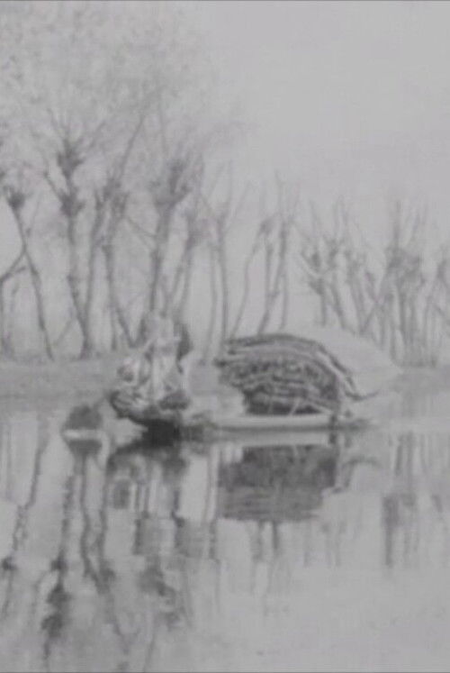 Khyber Pass; Kashmir; Agra