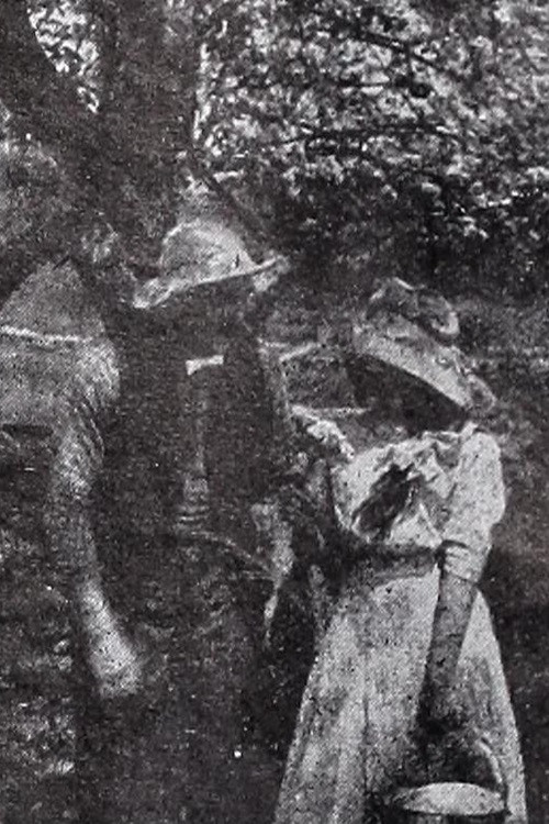 In the Season of Buds