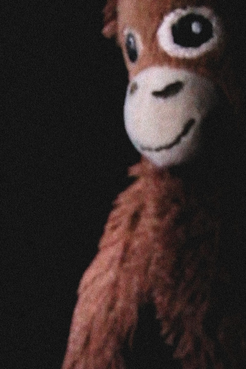 The Jay Monkey Project