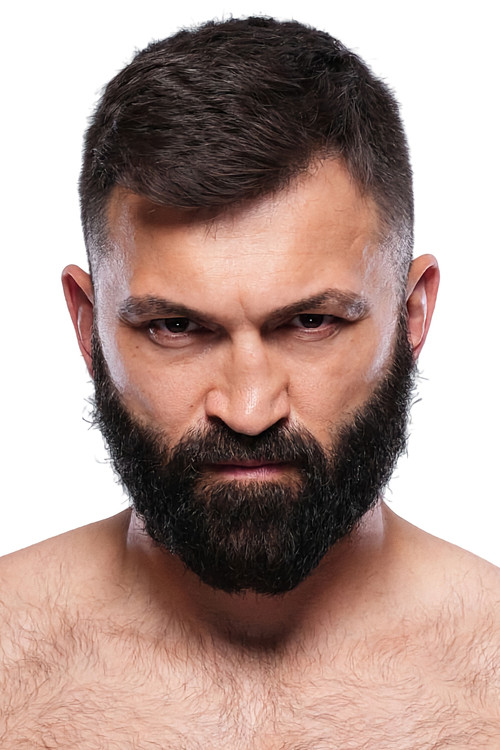 Photo of Andrei Arlovski