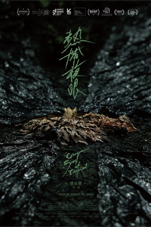 Compound Eyes of Tropical