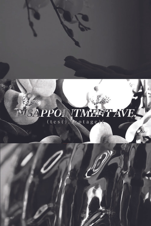 Disappointment Ave. Test No.1