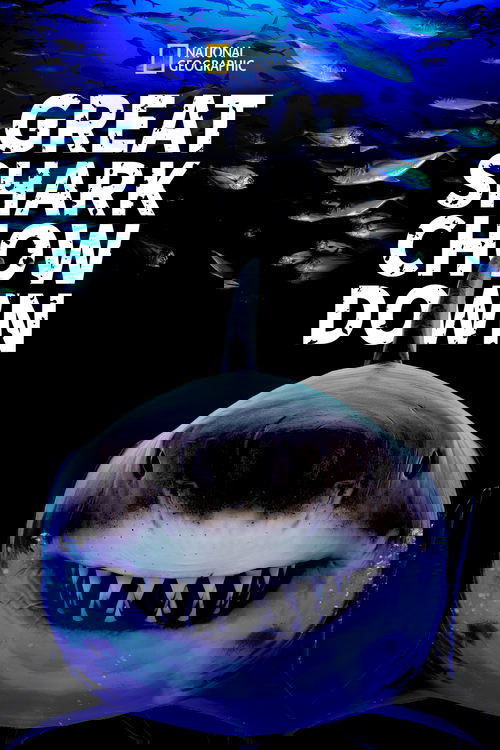 Great Shark Chow Down