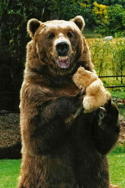 Photo of Bart the Bear
