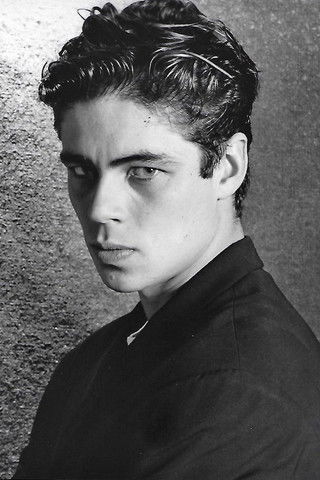 Photo of Benicio del Toro