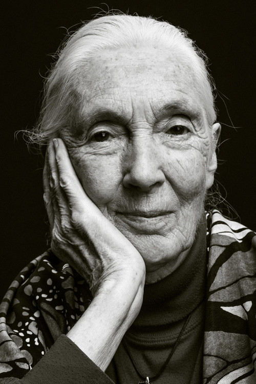 Photo of Jane Goodall