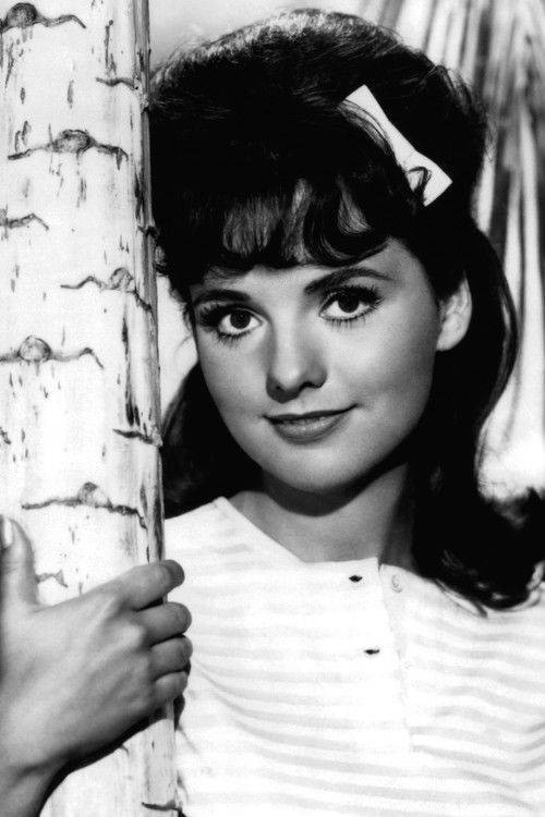 Photo of Dawn Wells