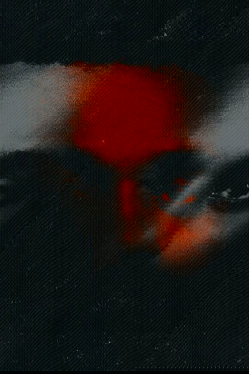 He Was Never There, Docupoem