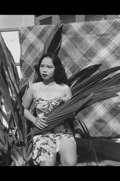 Photo of Siput Sarawak