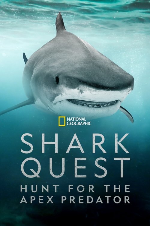 Shark Quest: Hunt For The Apex Predator