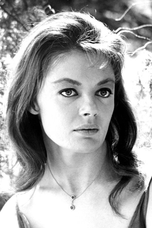 Photo of Sheree North