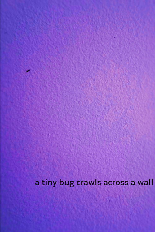 a tiny bug crawls across a wall