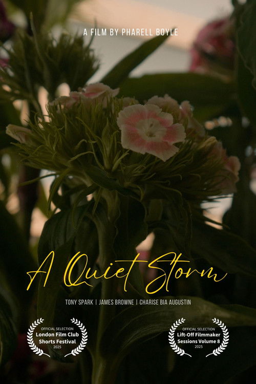 A Quiet Storm