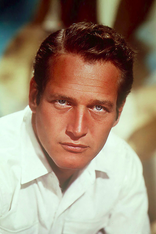 Photo of Paul Newman