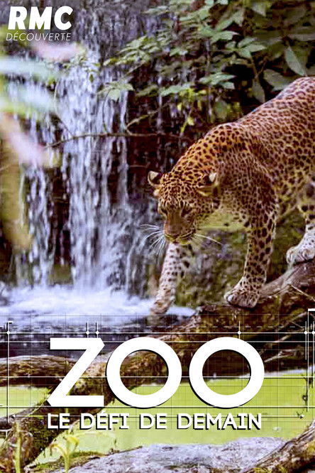 Zoo : le défi de demain
