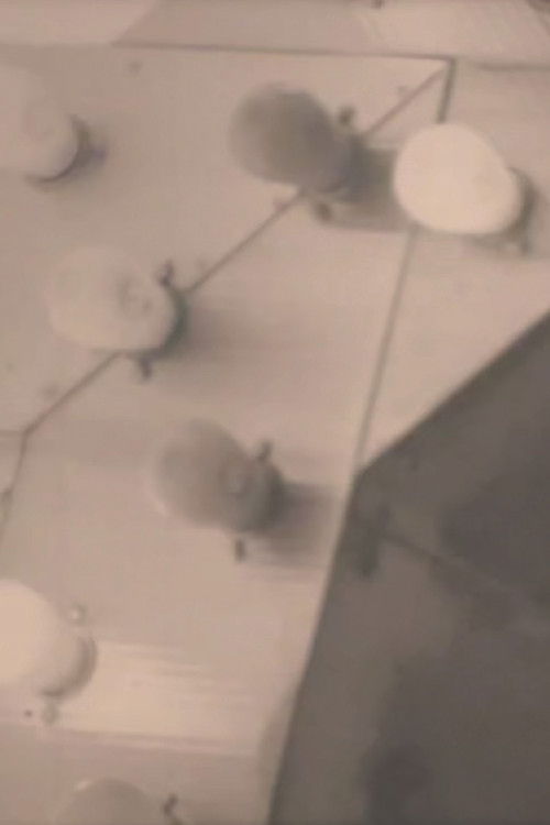 Notes on the Buffalo Conference: “Autobiography in American Independent Cinema”