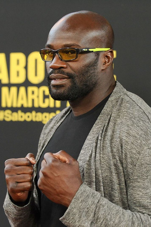 Photo of Cheick Kongo