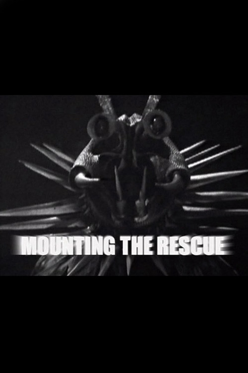 Mounting the Rescue