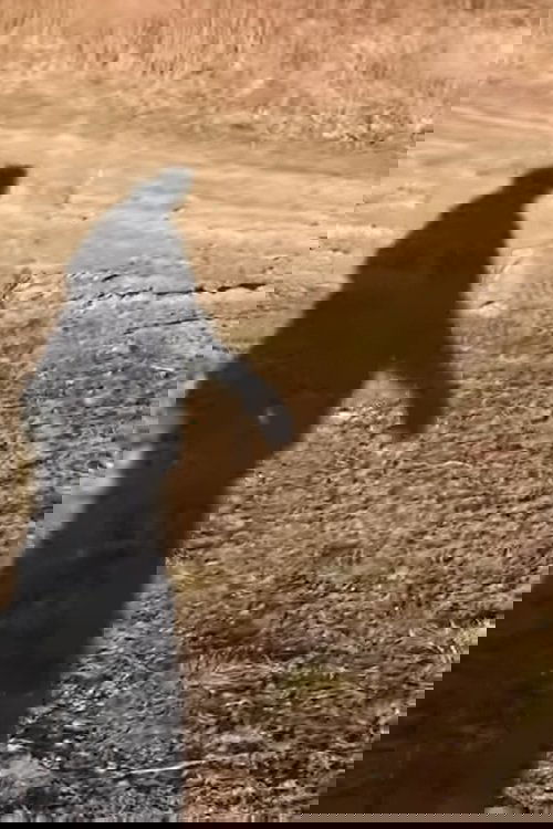 Be Absolute for Death