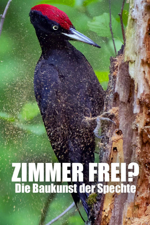 Knock knock – a Woodpeckers world