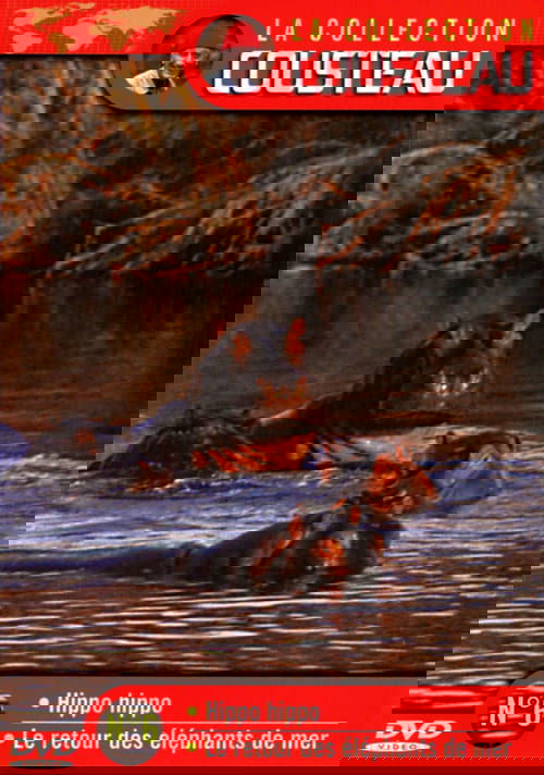 The Cousteau Collection N°6-1 | Hippo, Hippo