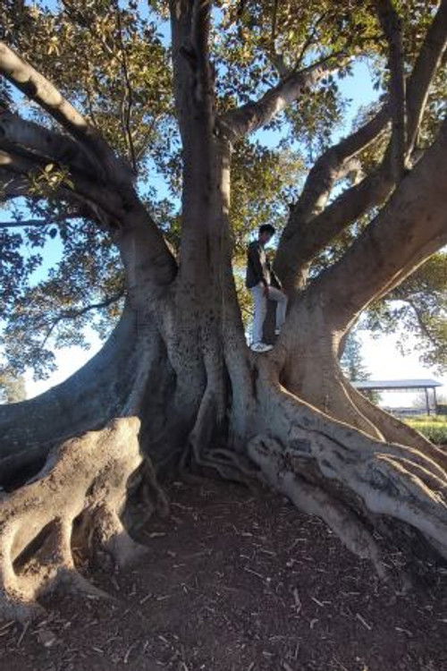 Photo of Arjun Vihaan