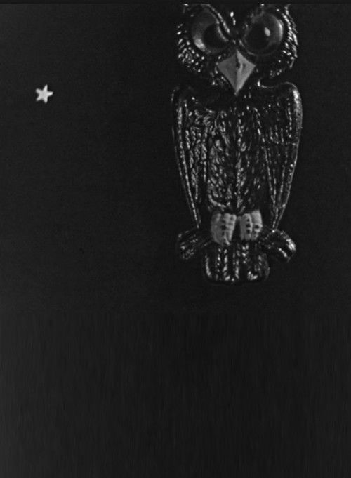 The Spider and the Fly