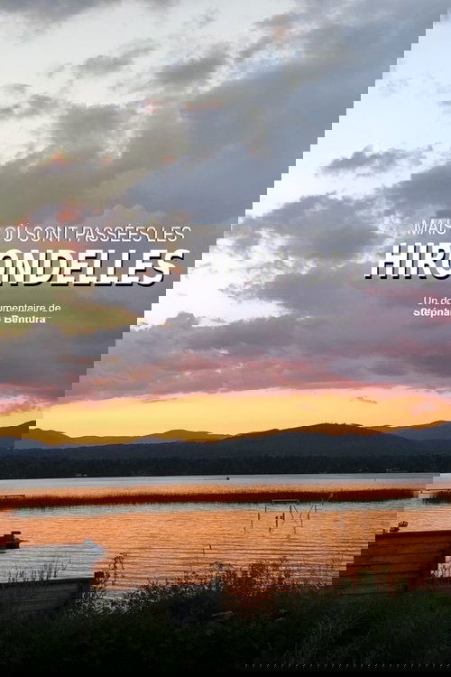 Où sont passées les hirondelles ?