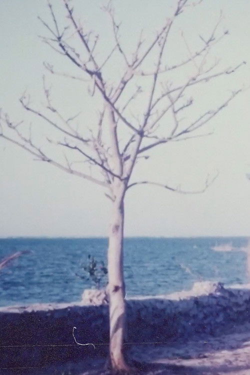Two Women and the Rock Garden